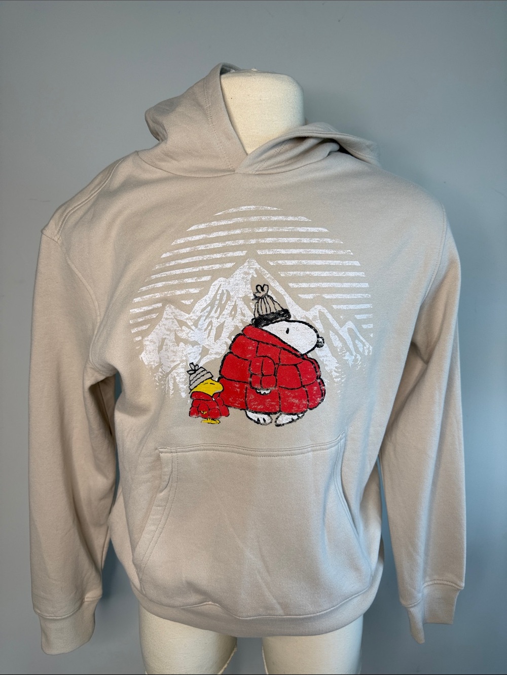 Men’s Sun & Stone PEANUTS hoodie Sweatshirt Large. NWOT